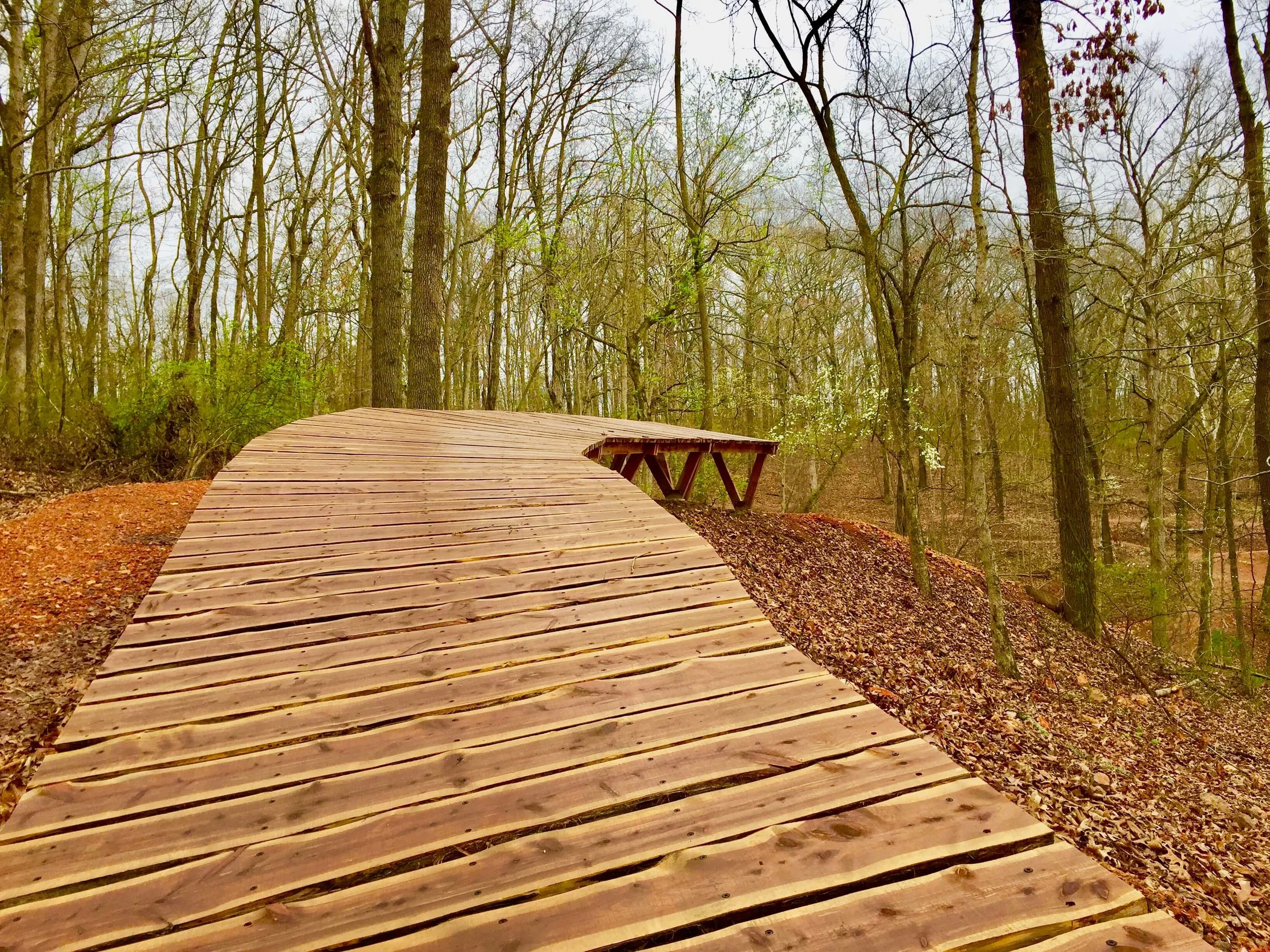 1-Coler-Diving Board-Progressive Trail Design-The Sibbett Group.jpg