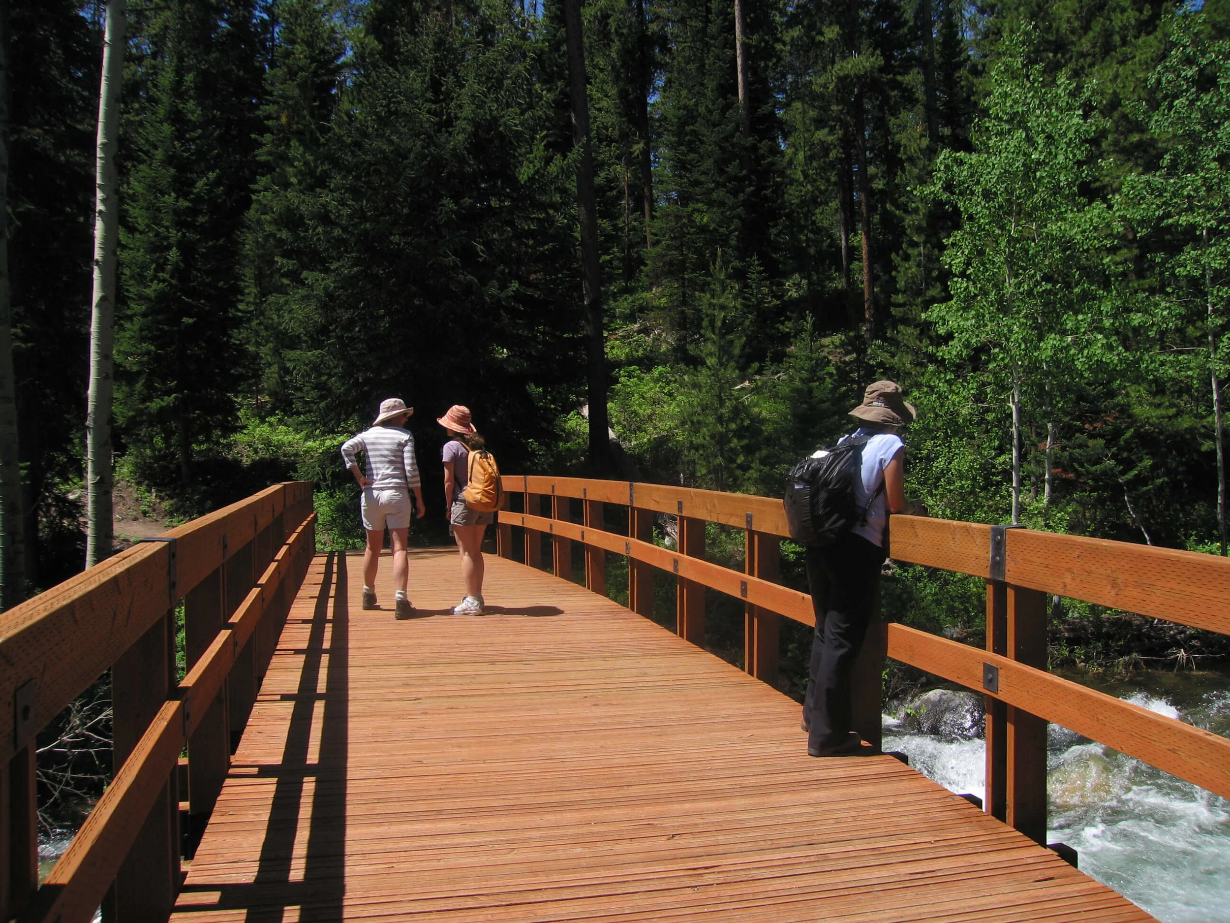 17-Laurance S. Rockefeller Preserve-The Sibbett Group-Bridge.jpg