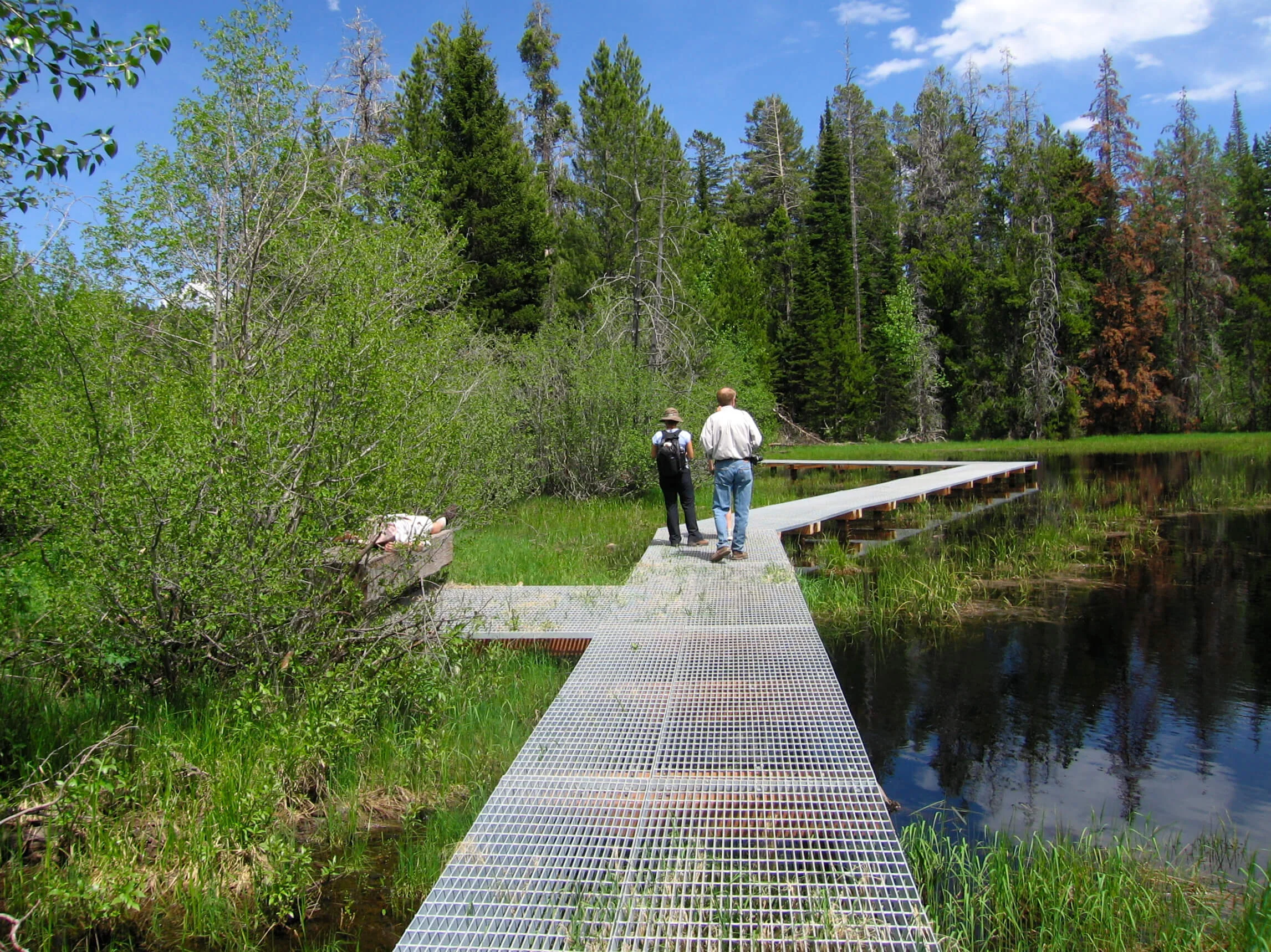 18-Laurance S. Rockefeller Preserve-The Sibbett Group-Wetland.jpg