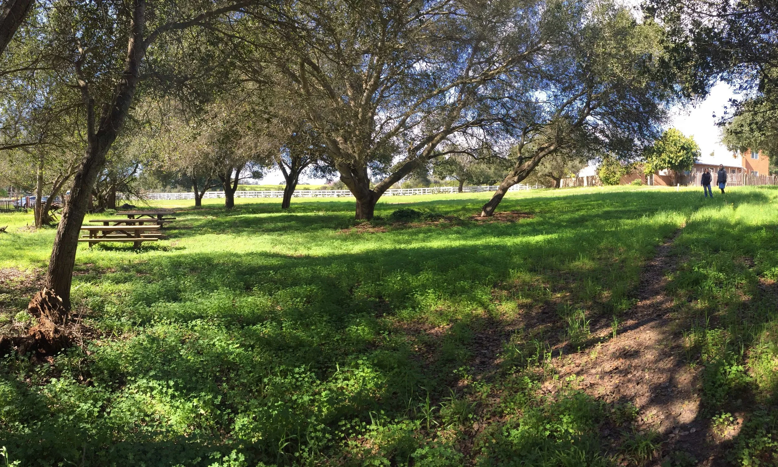 2-Castro Adobe-Site-The Sibbett Group.jpg