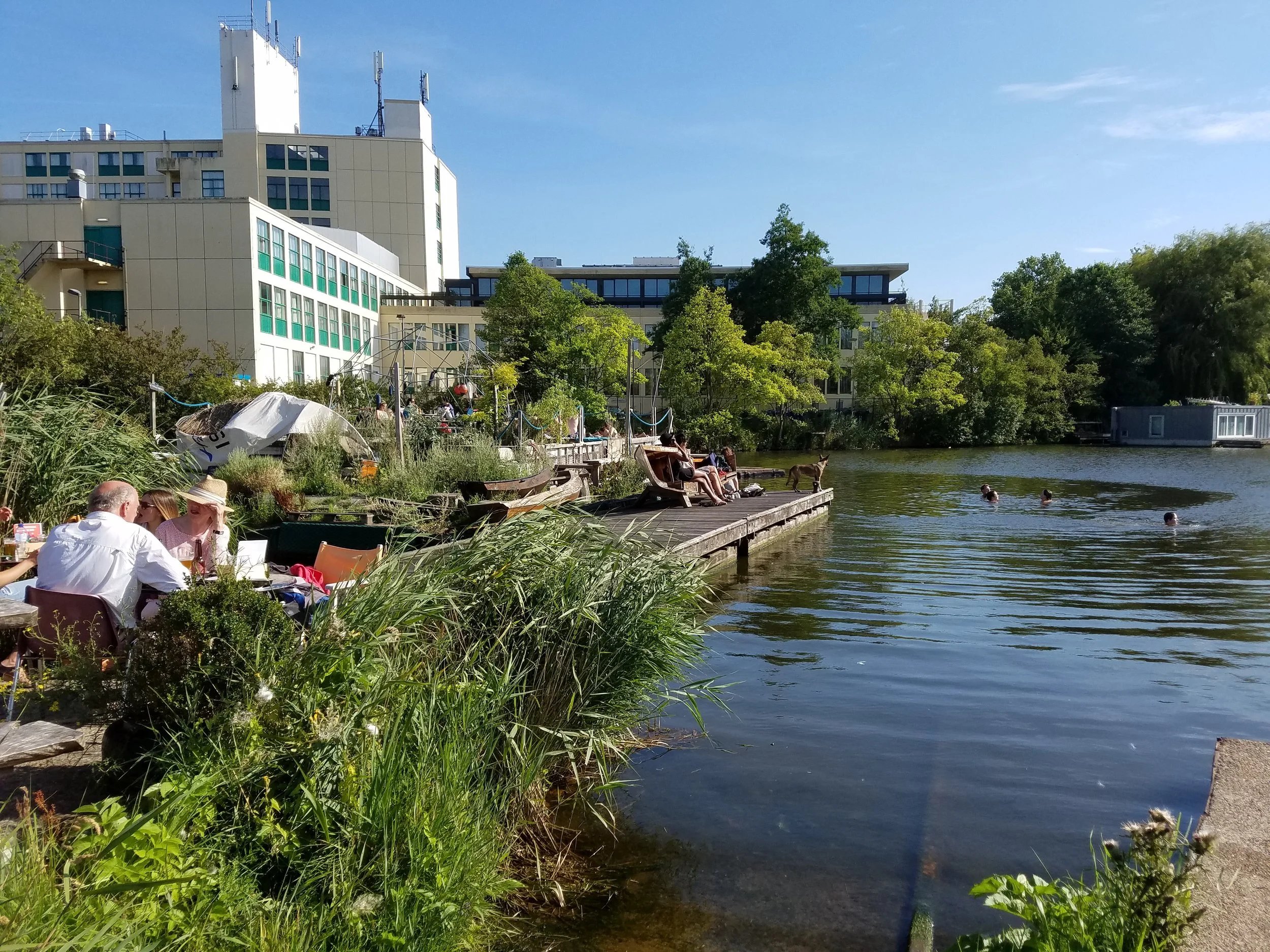 People enjoying the water on a warm summer day at De Ceuvel in Amsterdam.