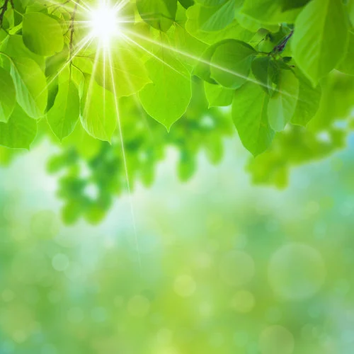 1505839786613 copy 2.jpeg