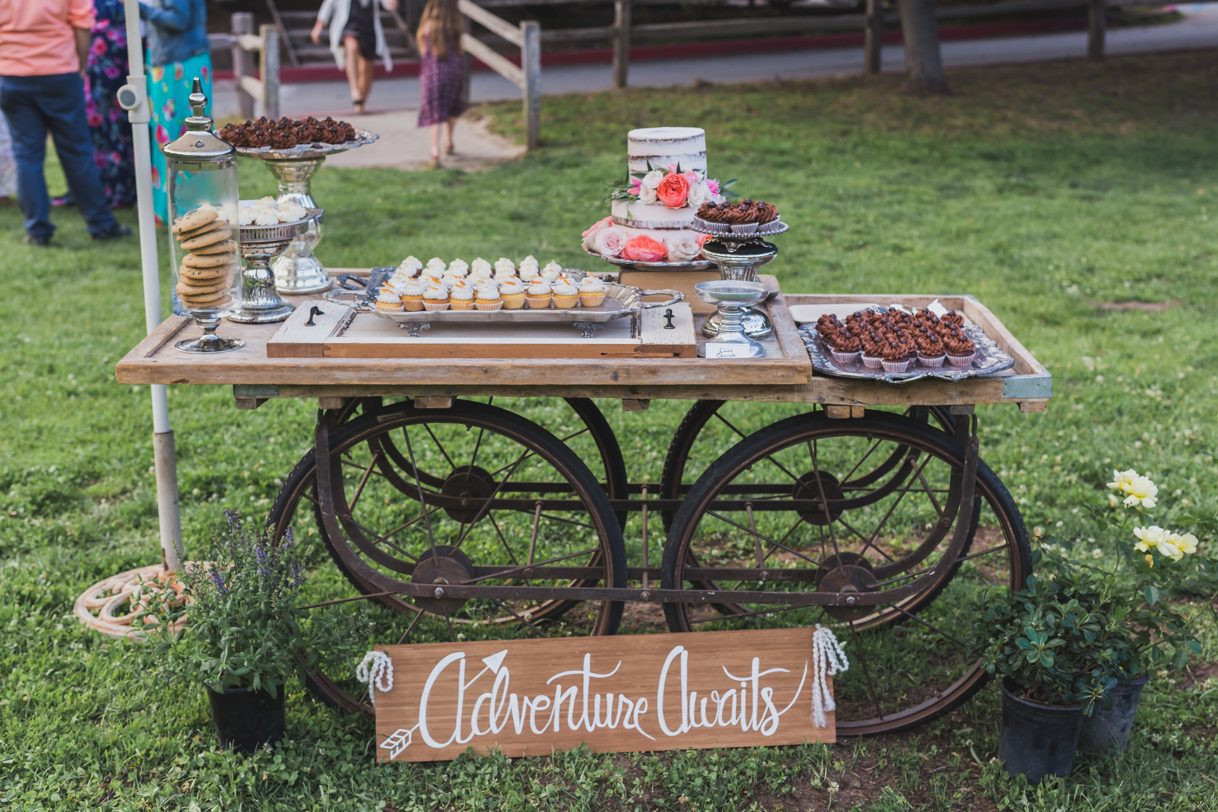 Cake: (Left to right) Gluten-Free Carrot Ginger, Triple Orange, Double Chocolate Eloise Table Rentals: View Point Events Wedding Coordination: Lux & Jasper Photographer: Rust & Rose Photography Venue: Aptos Village Park