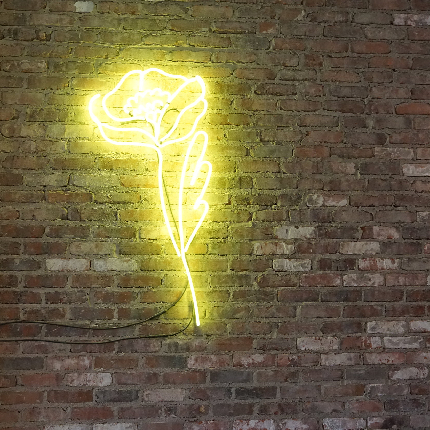 Le Butterblume Address: 5836 boulevard Saint-Laurent, Montréal