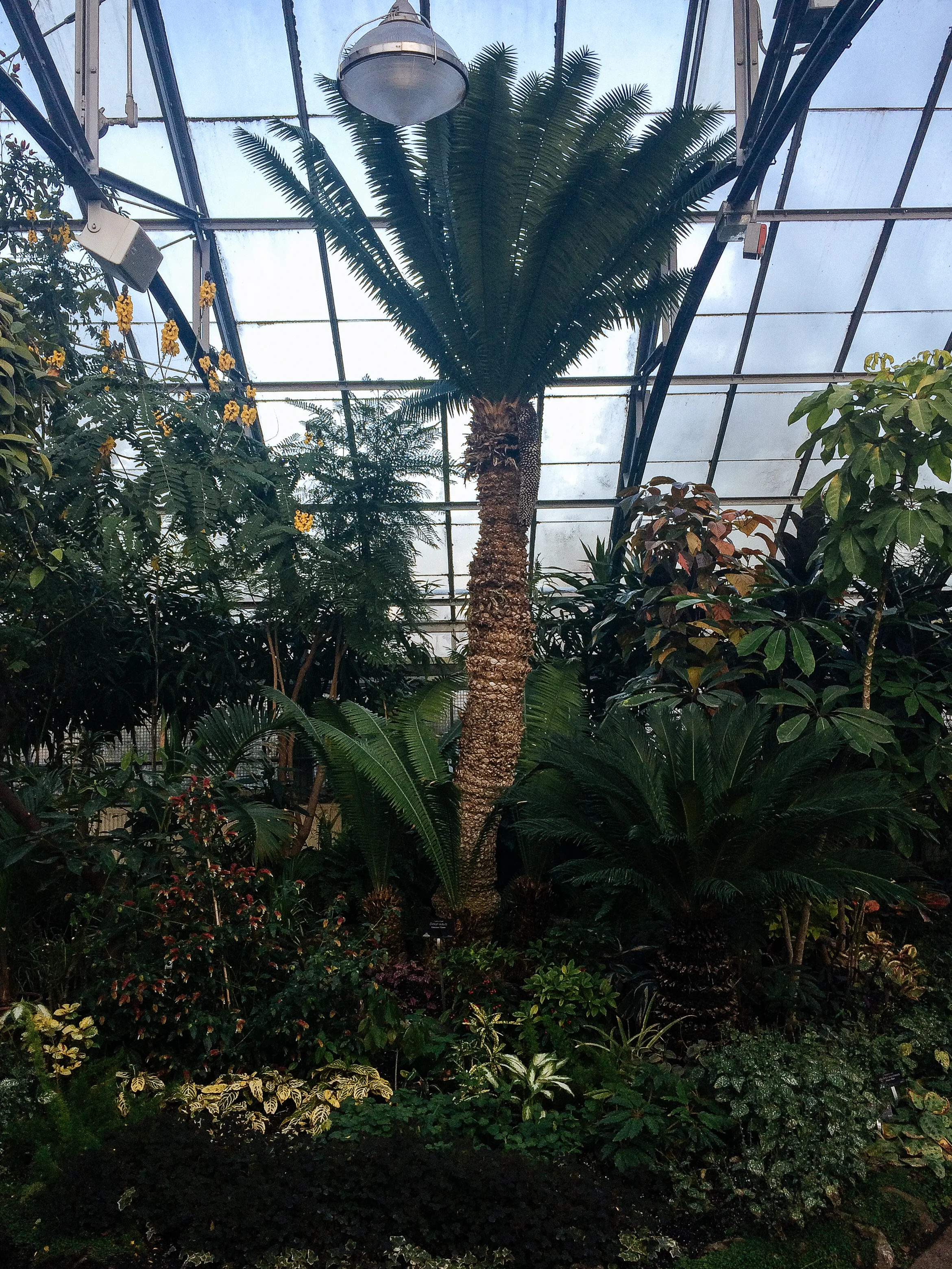 allangardens14.jpg