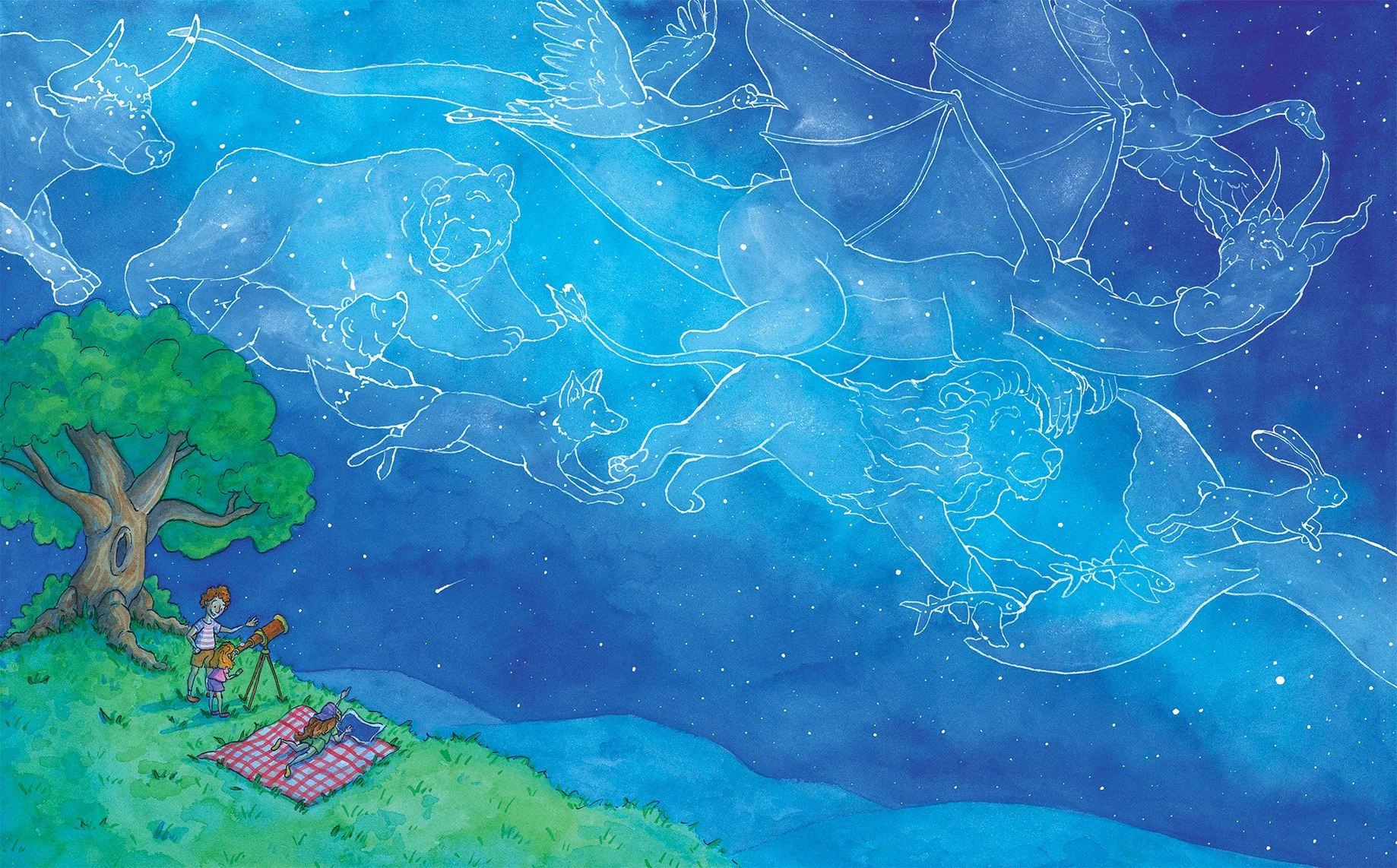 Constellation Final.jpg