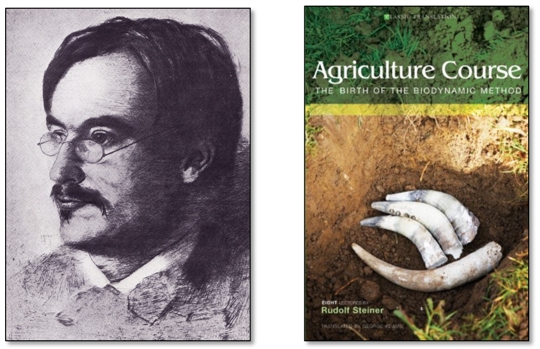 Rudolf Steiner.png