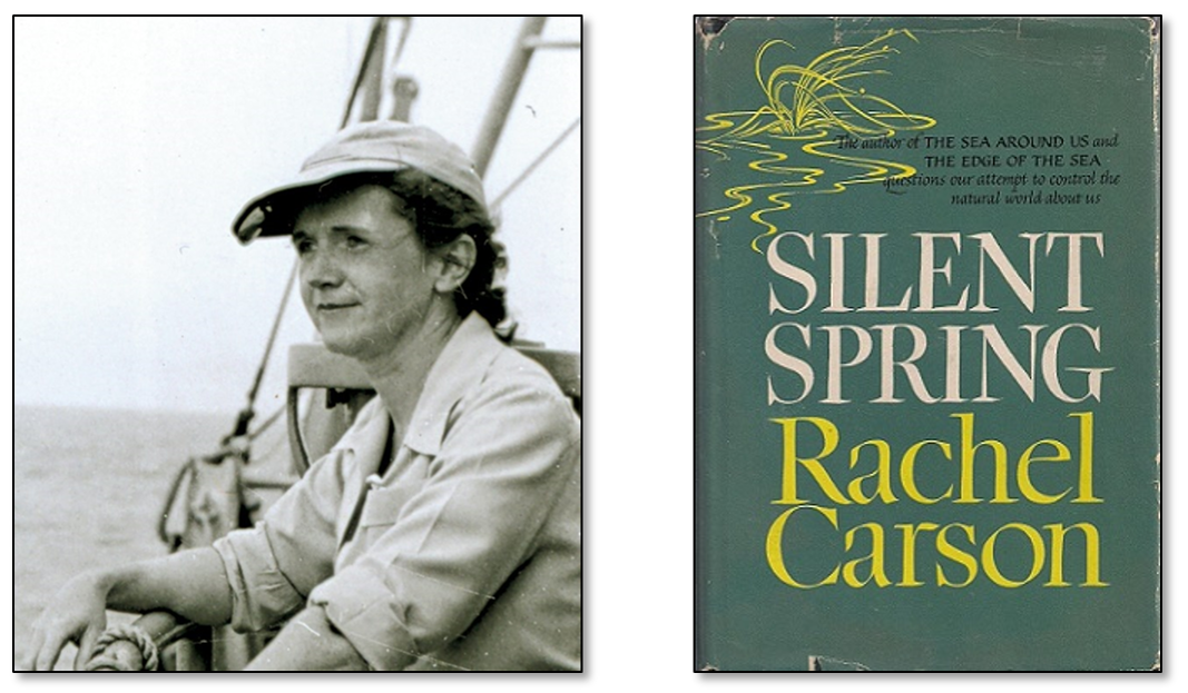 Rachel Carson.png