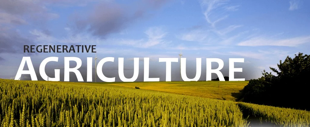 Regenerative Ag Image - cropped.jpg