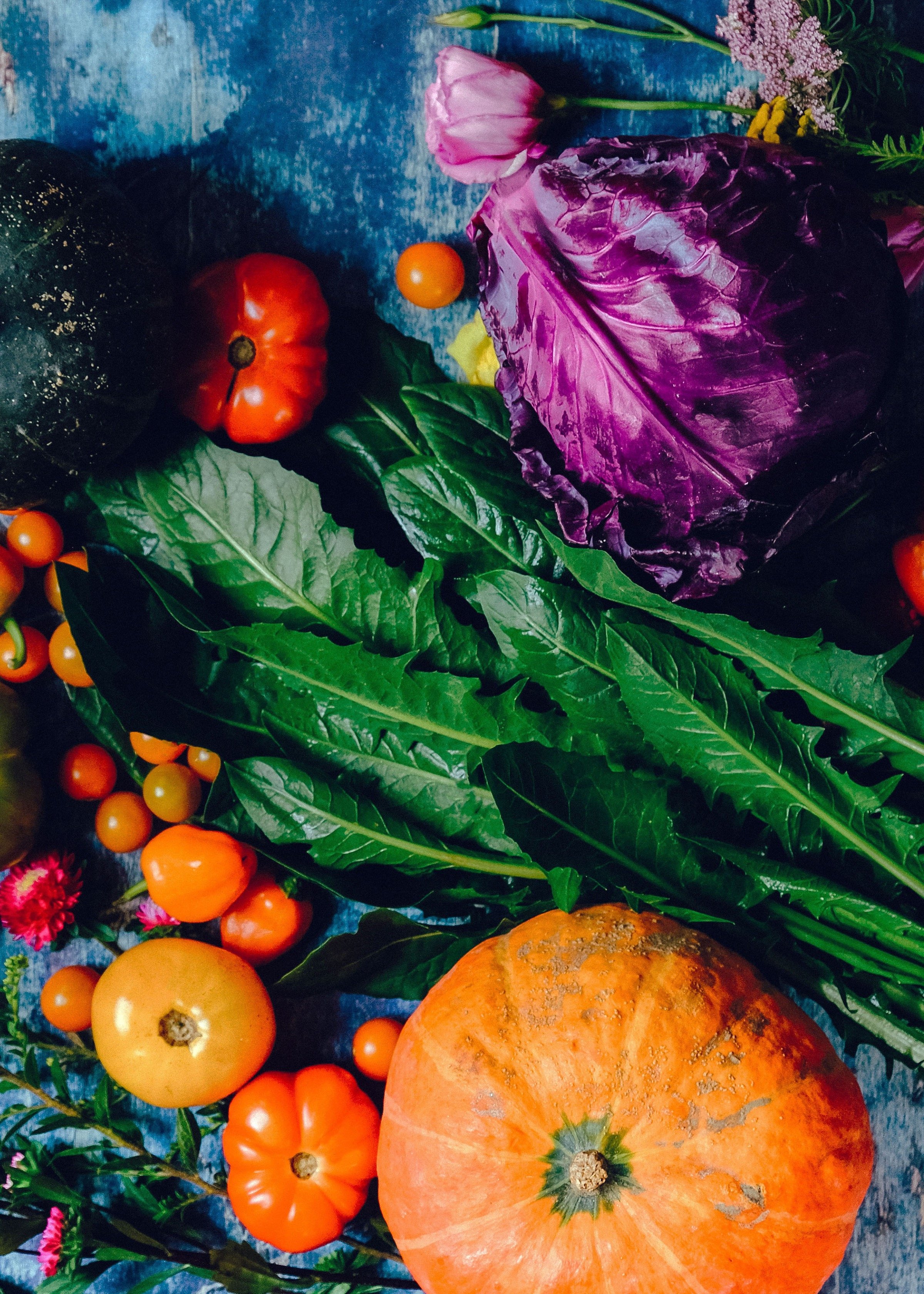 Foundation of Nutrition | Luncheon @ Doak Shirreff | Watch Playback