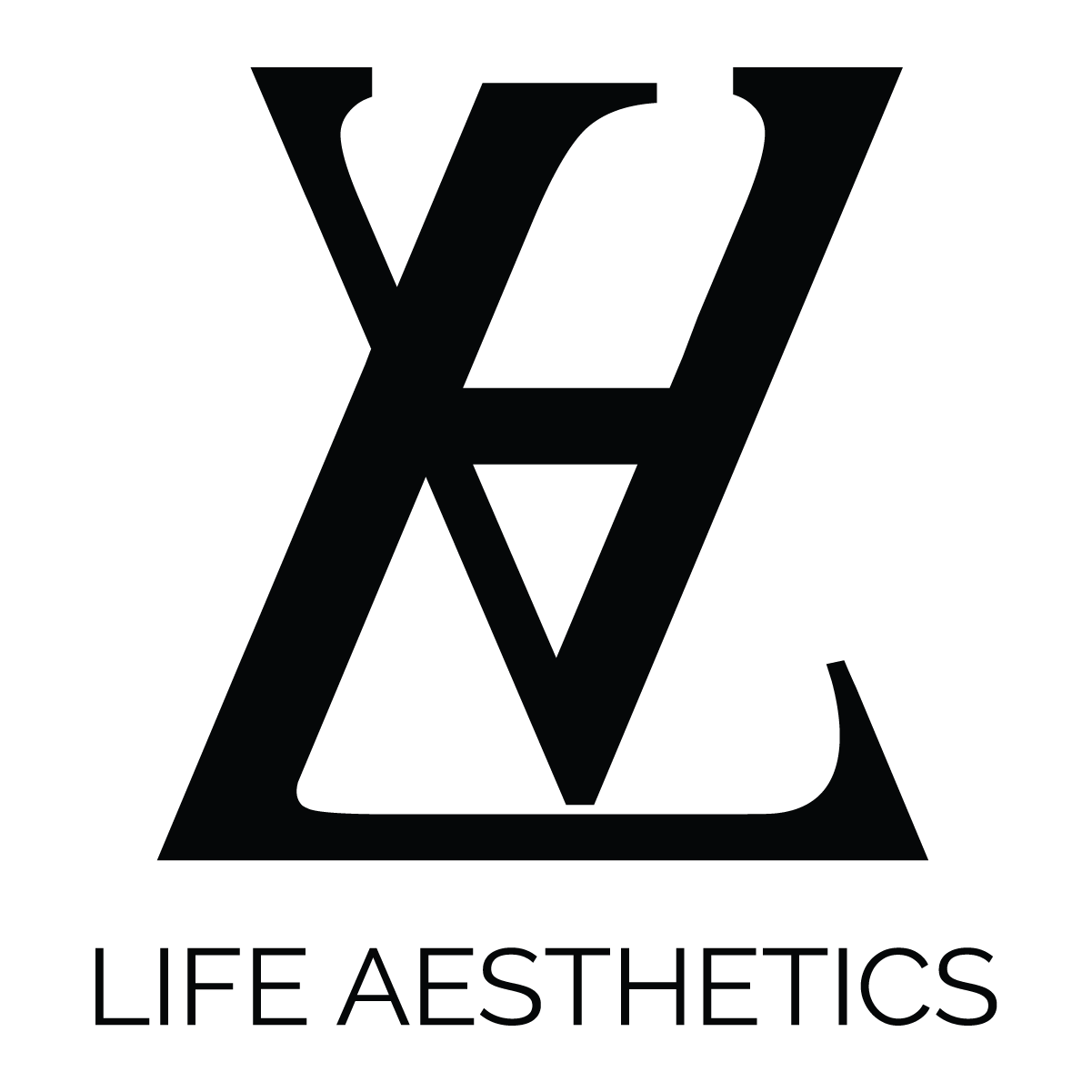 Life Aesthetics