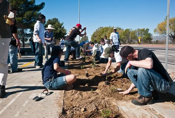 planting6.jpg