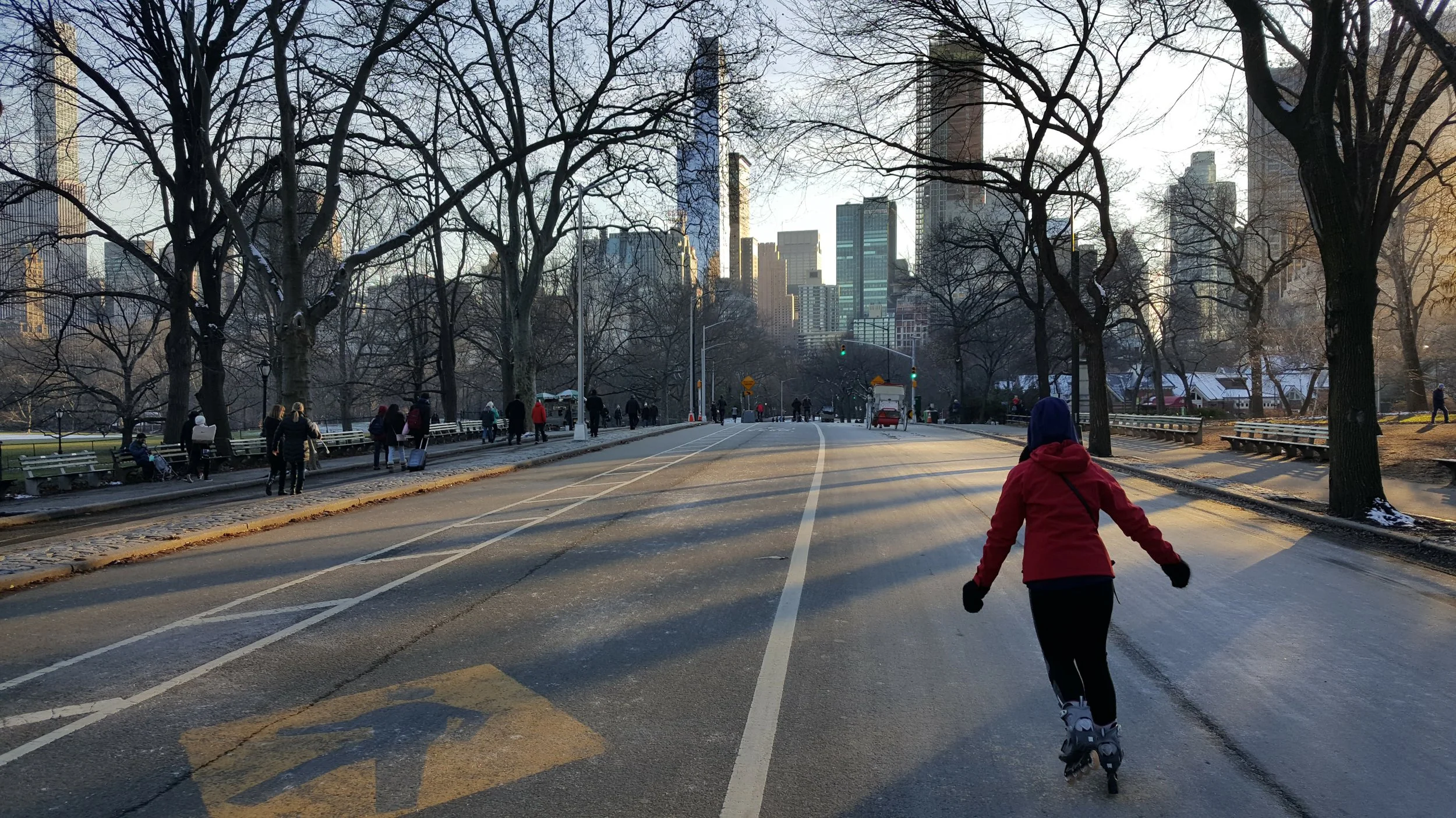 Central Park Rollerblading.jpg