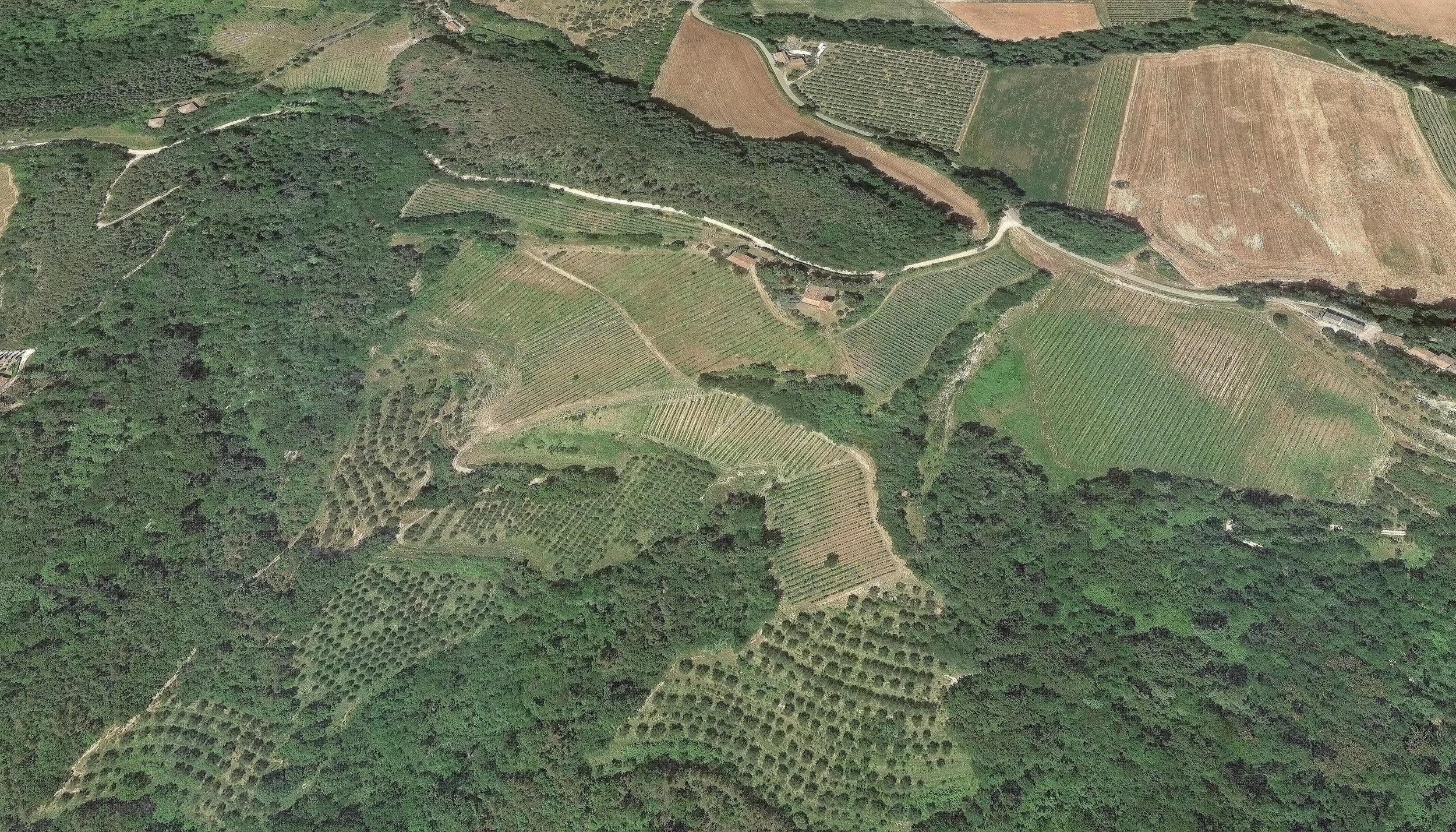 camontalbano.jpg