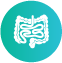 Intestines.png