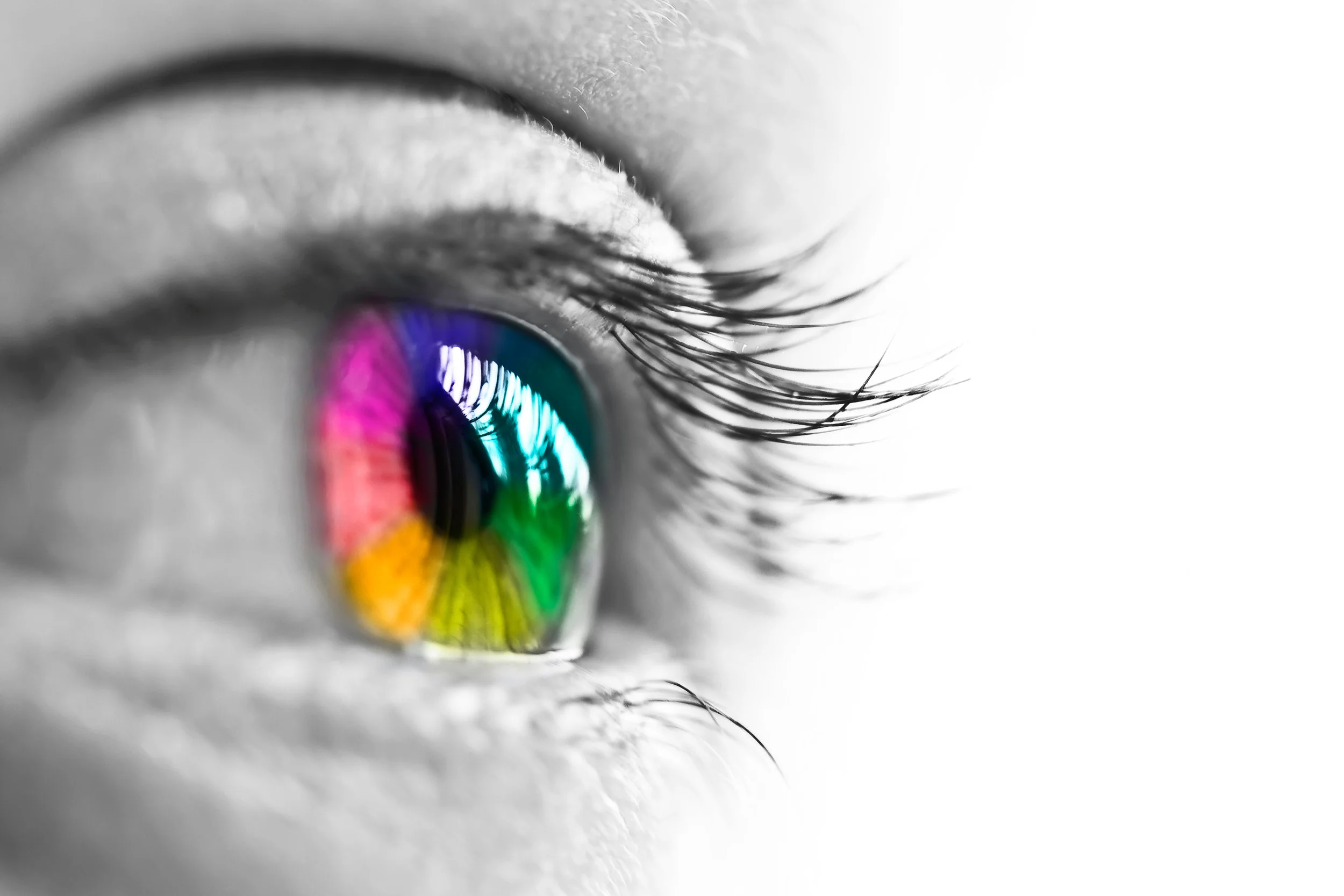 Photo by Delpixart/iStock / Getty Images