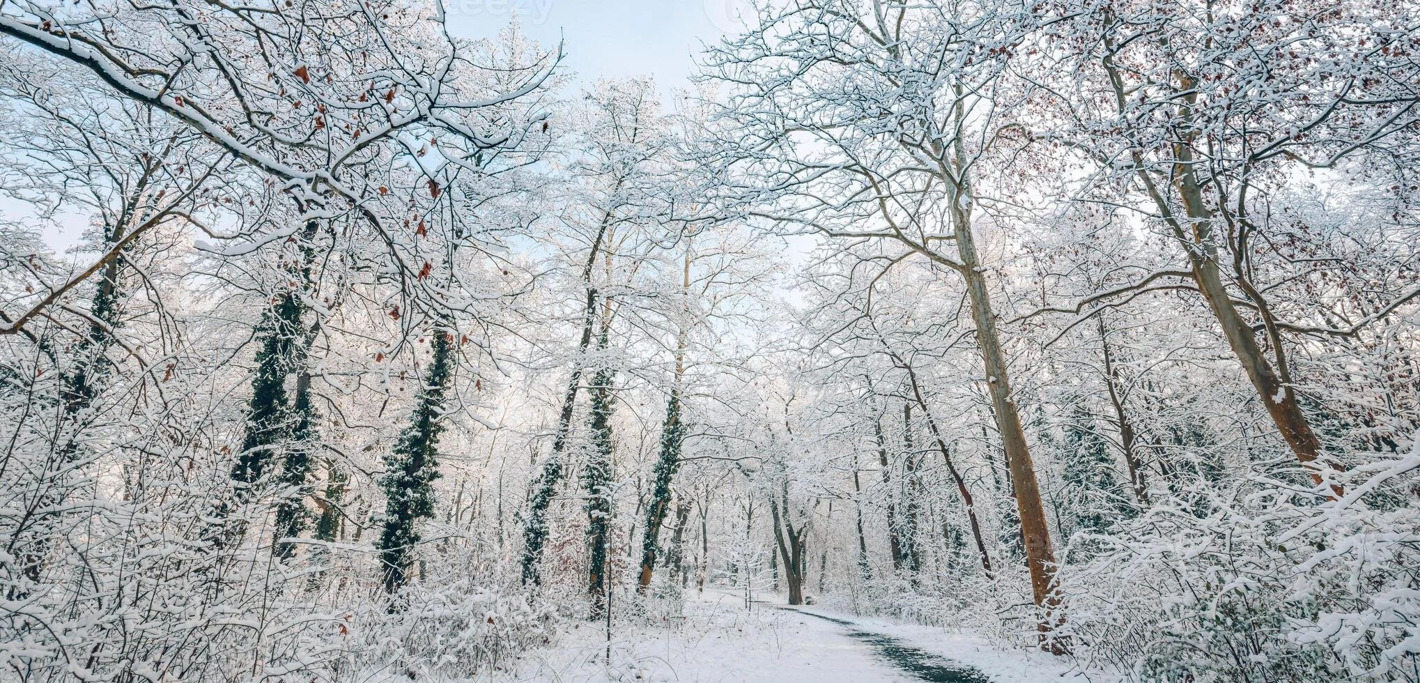 This time of year…