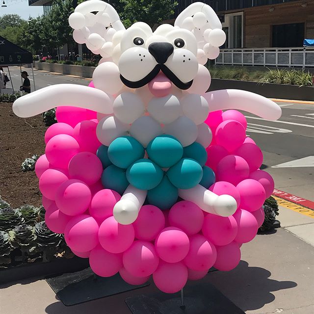 Hot day for the dogo in the suno! #dogsofinstagram #balloonsbynatethegreat #lamarunion