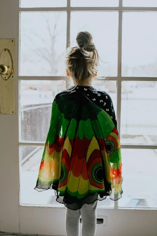 A girl with her hair in a bun, standing in front of a glass door, wearing a colorful butterfly-patterned shawl.