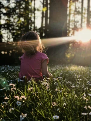 A young girl sitting in a grassy field with flowers, facing away, with sunlight streaming through trees in the background.