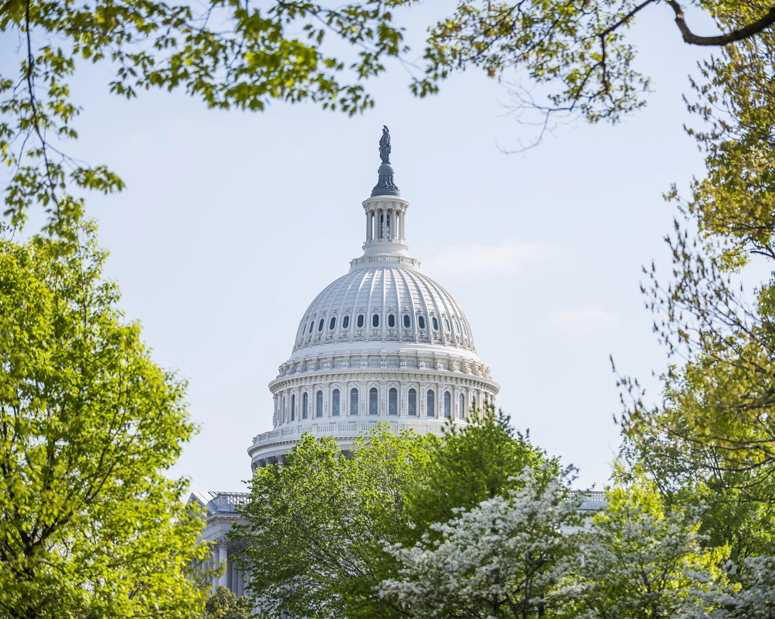 US_Capitol_2000px_AWM_0895.jpg