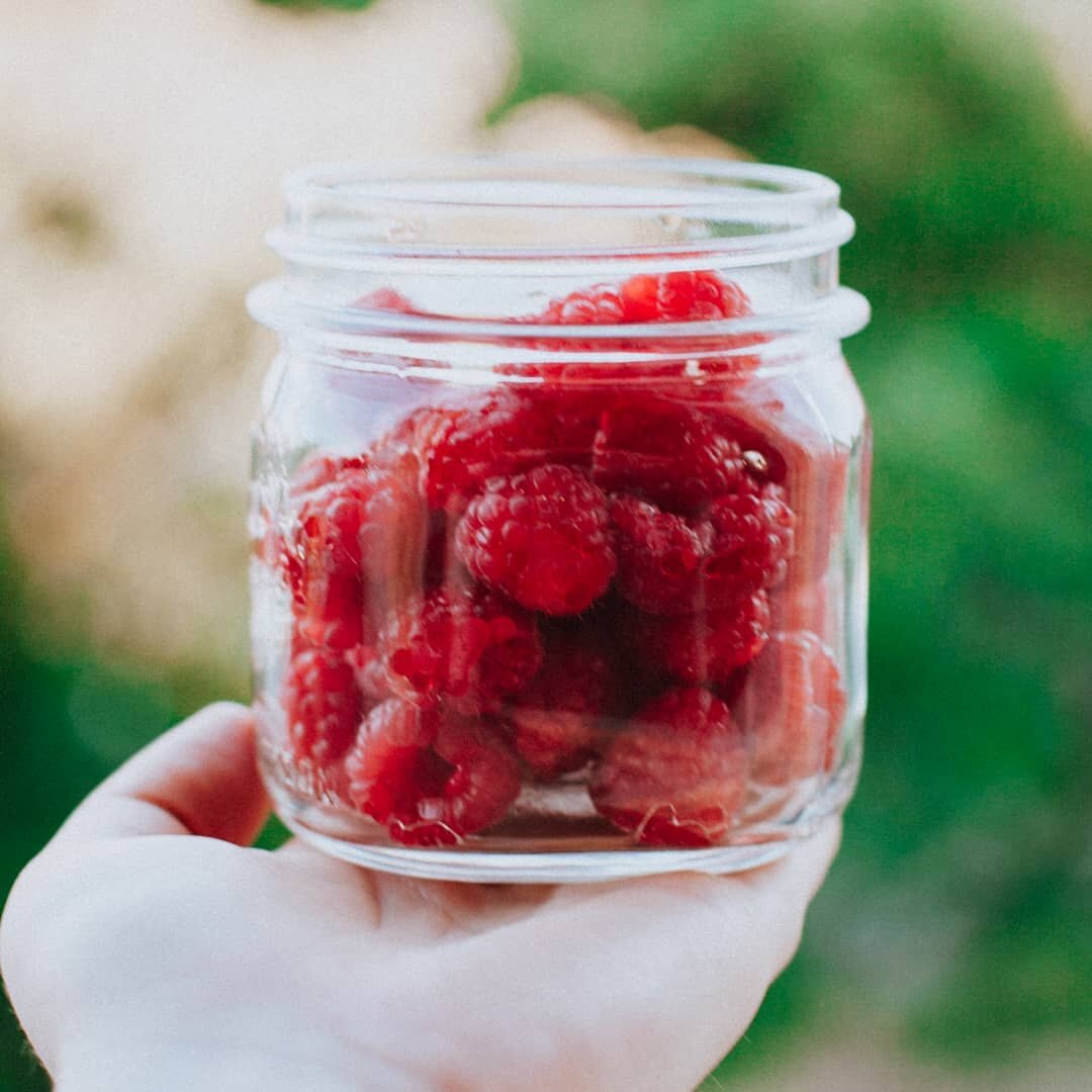 Looking forward to picking fresh raspberries from my garden.  #canningculture #cannedfoodmonth #proudlyhomemade #BallProudlyHomemade #ballcanning #bernarden #cannedfruit #cannedraspberries #canning