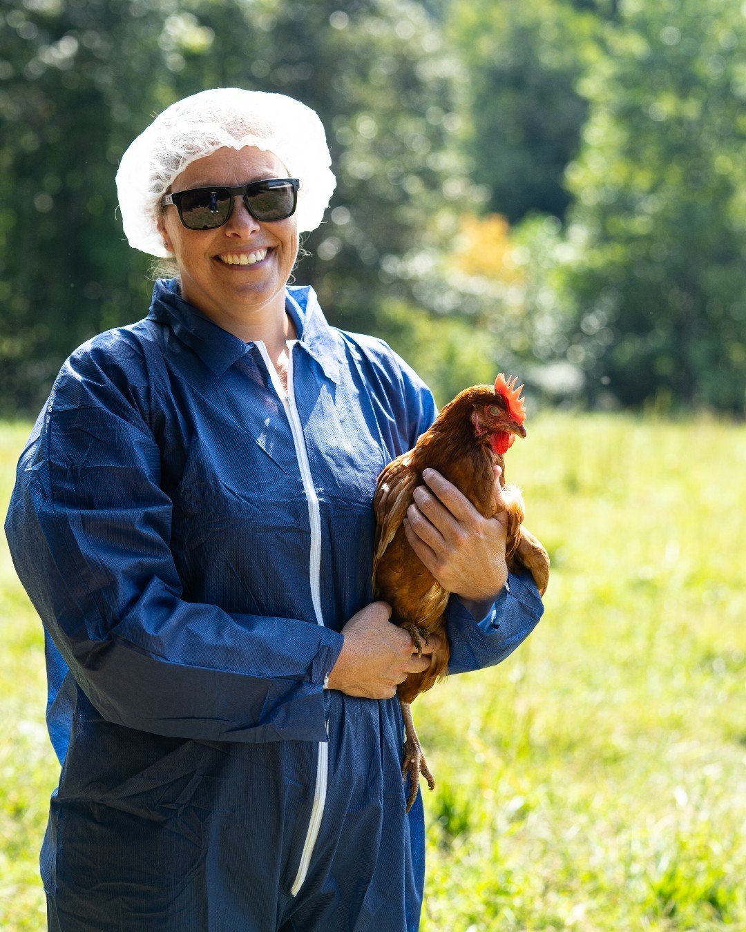 Did you know that Chickens are able to recognize and respond to individual human faces? This shows us that they can distinguish between different people! They may even exhibit signs of affection or excitement when interacting with familiar humans (on