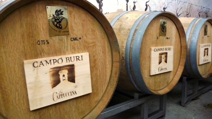 La_Cappuccina_winery_-_campi_buri_casks.jpg