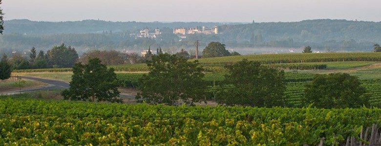 domaine-vieil-ormes-vignobles-touraine-chenonceaux-vins-val-de-loire-780x300.jpg