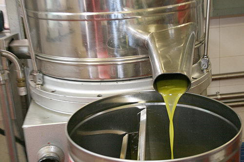 olivenoel 1.jpg