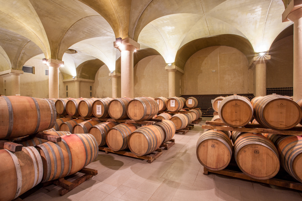 MONCARO TERRE CORTESI winery.jpg