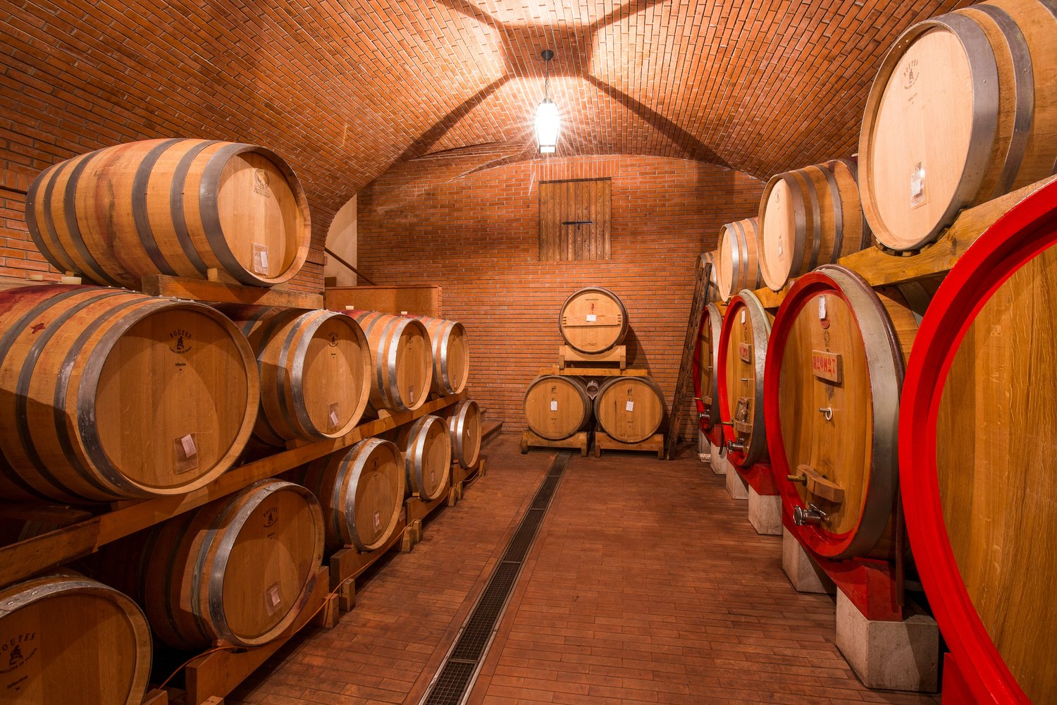 Azienda Agricola 499 – Vino Bianco – Enigma – 2019 - Barrel Down Selections