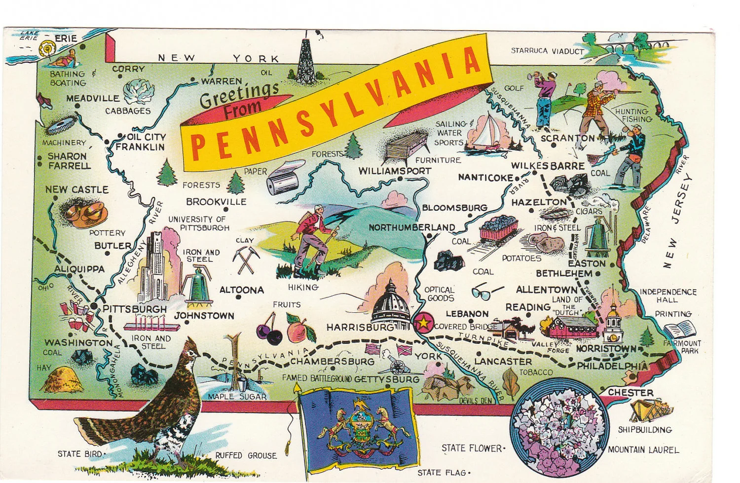Lehigh County Siema Brands