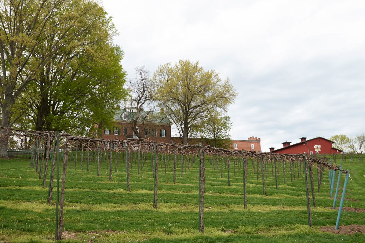 0017Winery_Web.jpg