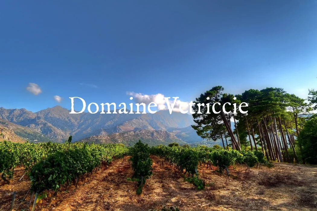 Corsica — Siema Brands