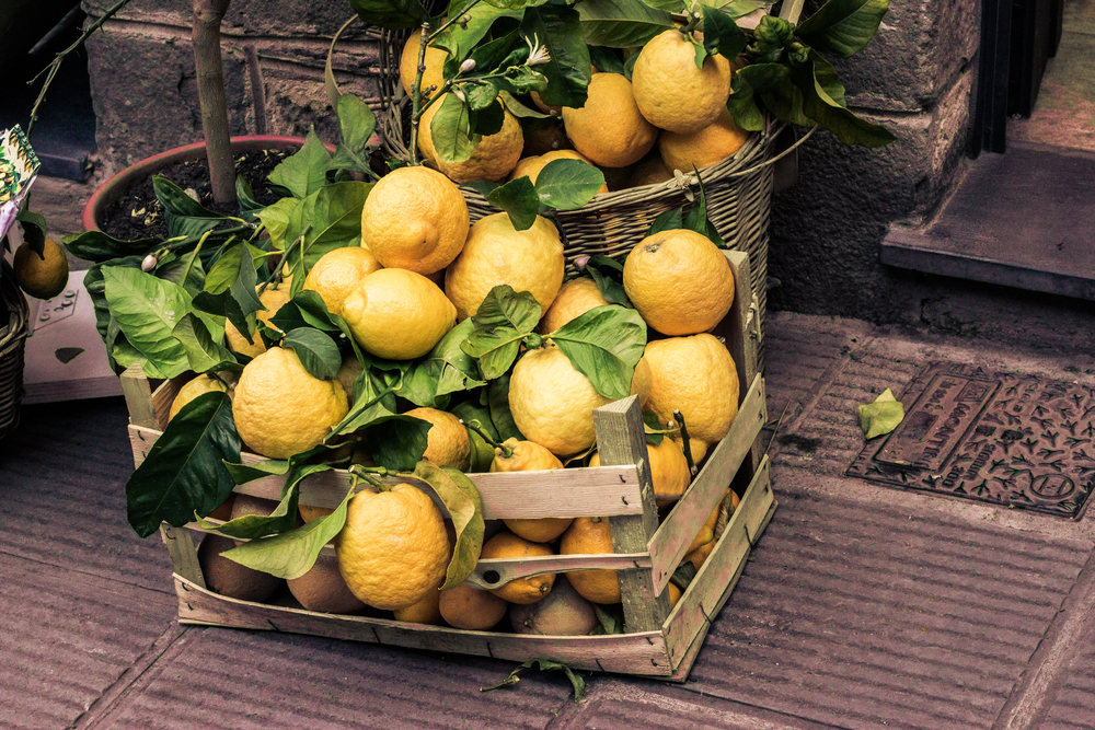 Photo Lemons in CinqueTerre.jpg