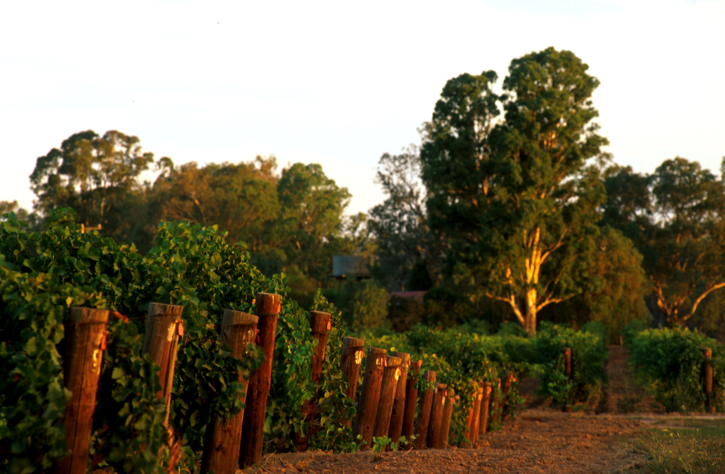 Goulburn Valley.jpg