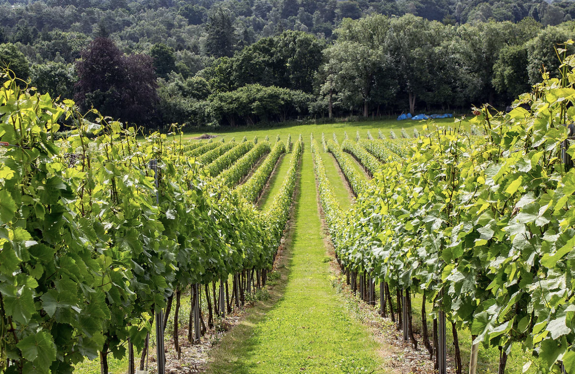 Screenshot 2026-04-28 at 2.28.22 PM.png