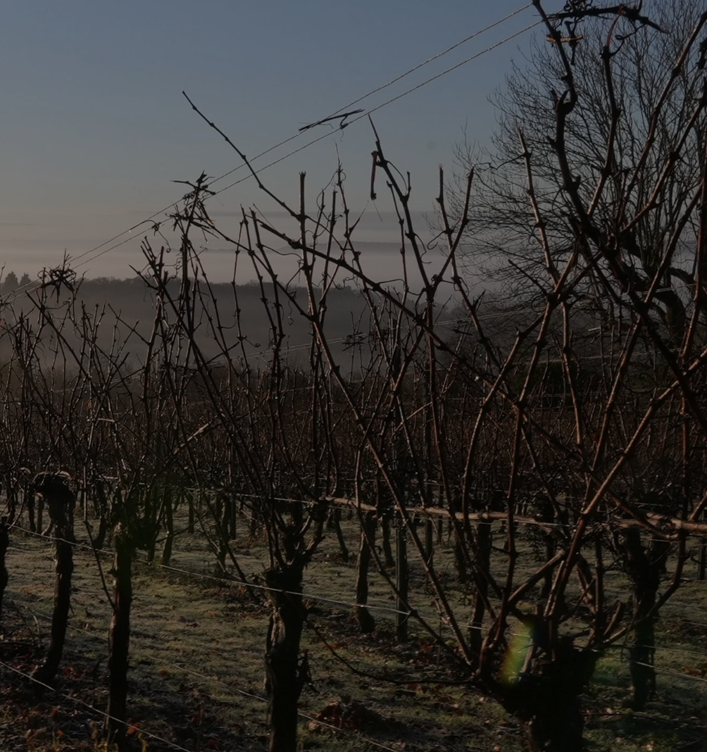 Screenshot 2026-04-28 at 2.28.00 PM.png