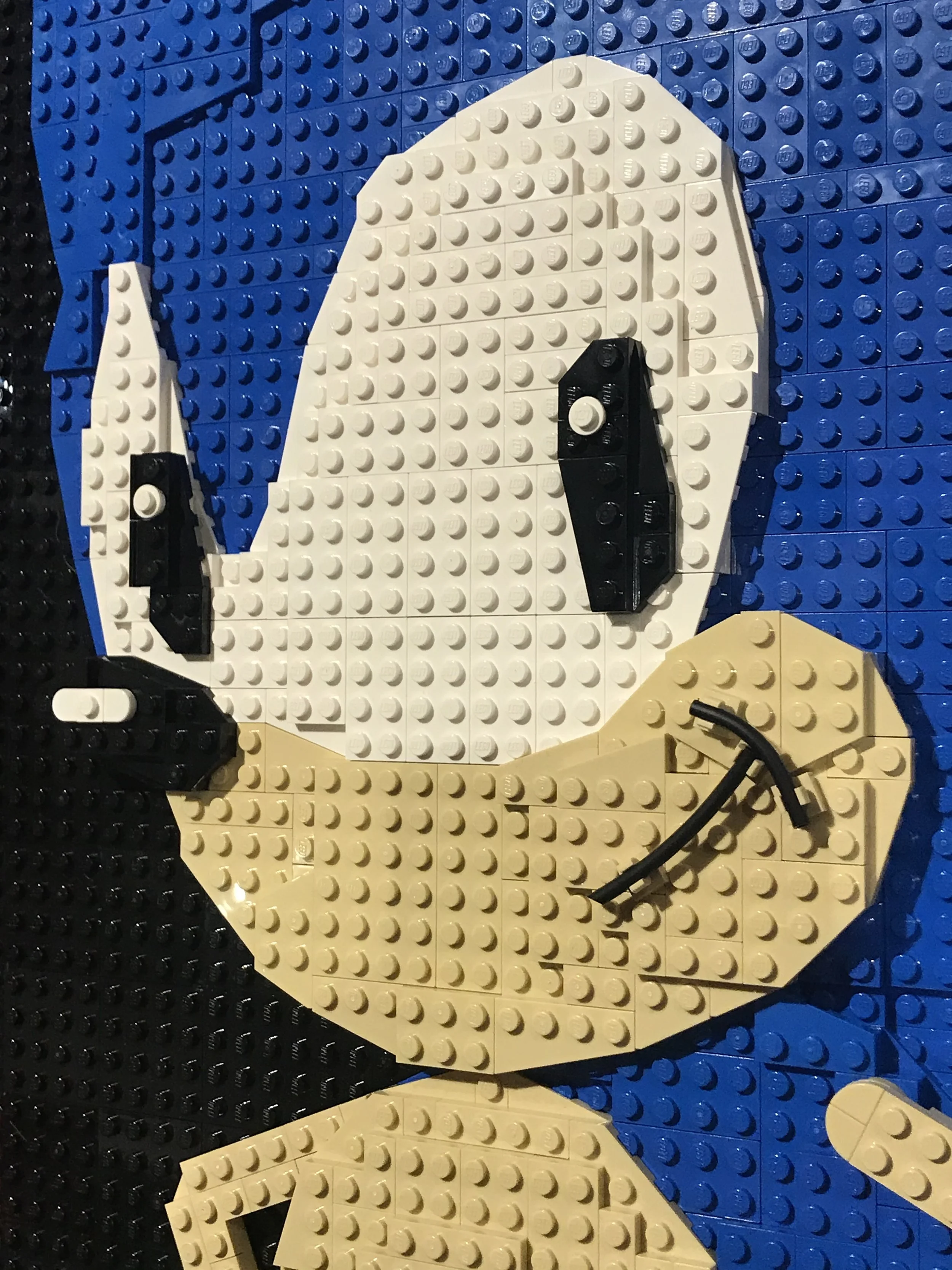Sonic The Hedgehog (detail)