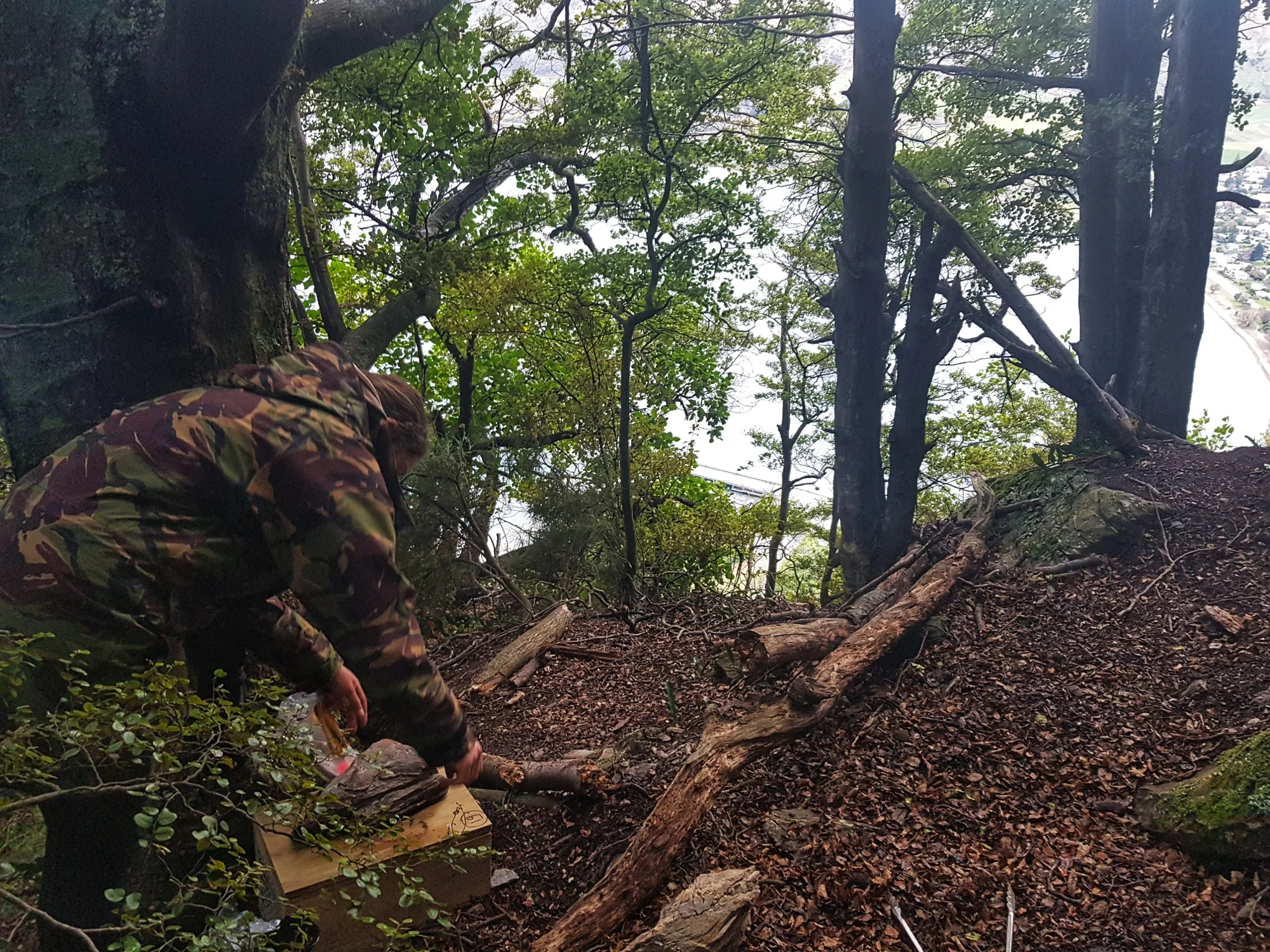 Volunteer Kelly secures a new trap