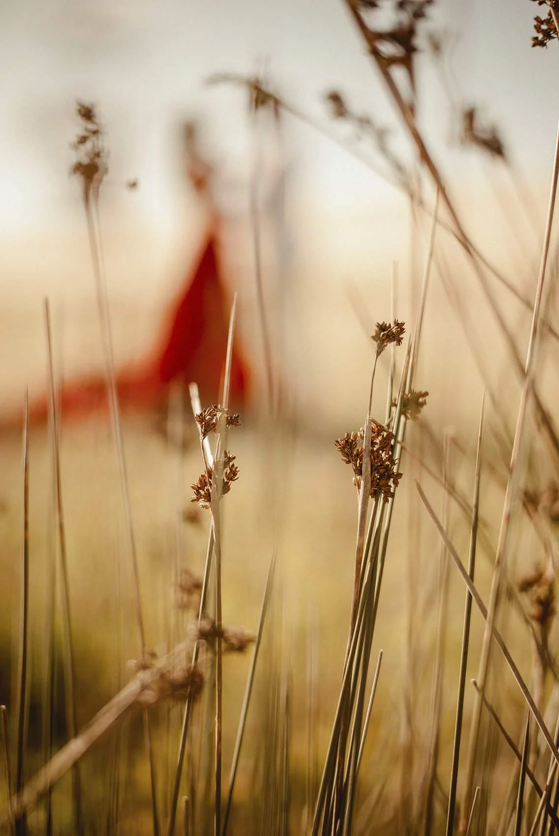 51_rosa-andrew_2_small_landscape.jpg
