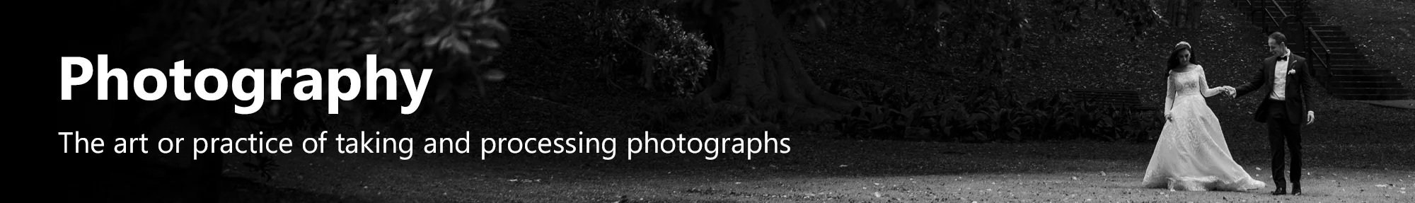 SERVICES HEADER PHOTOGRAPHY.jpg