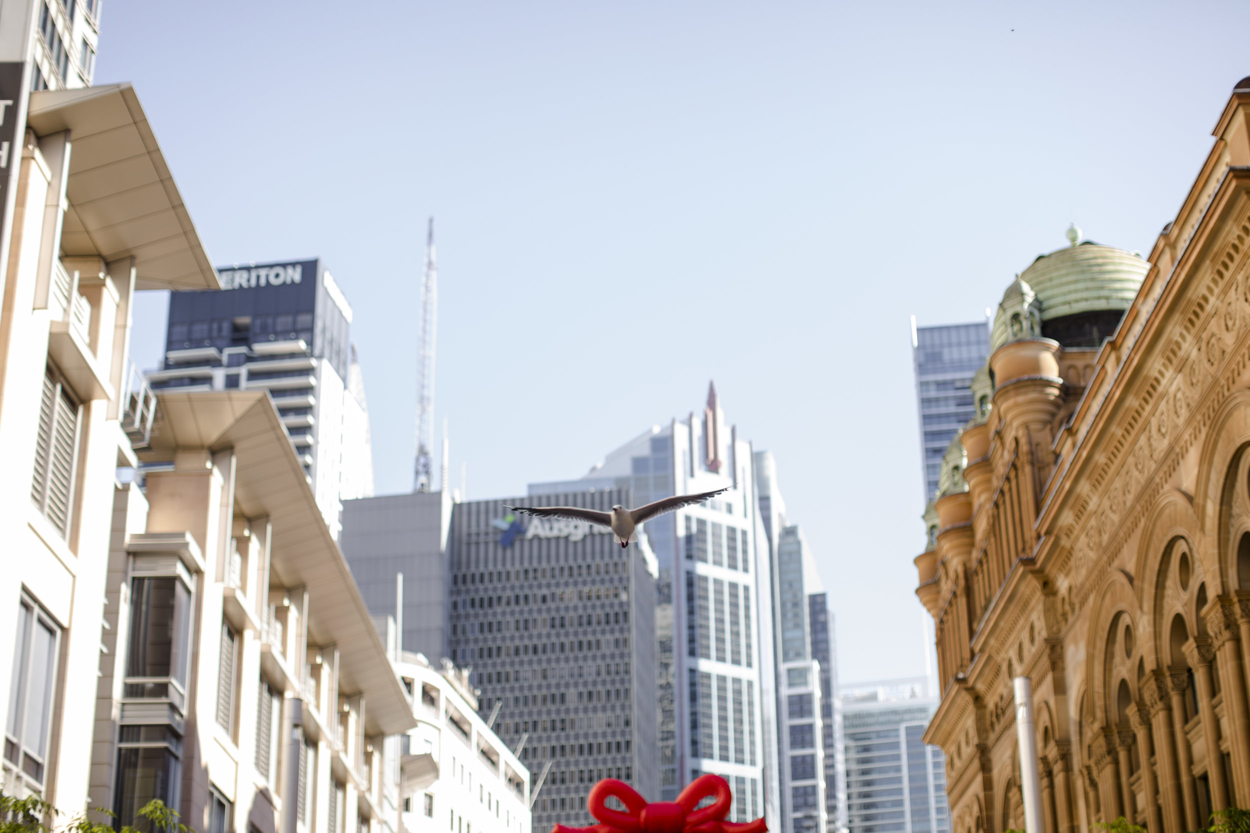 KENNY YVONNE PREWEDDING SOCIALS-29.jpg