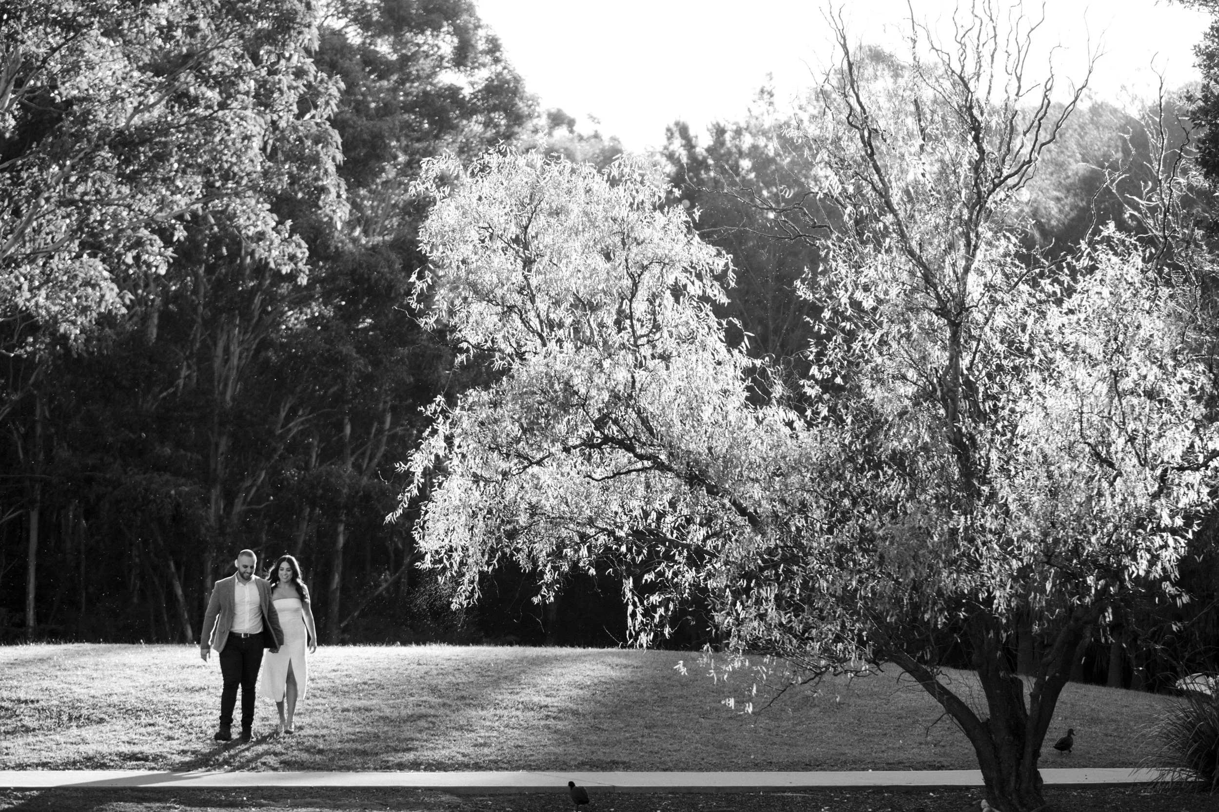 SHANE + ALEXANDRA PREWED WEB (14 of 43).jpg