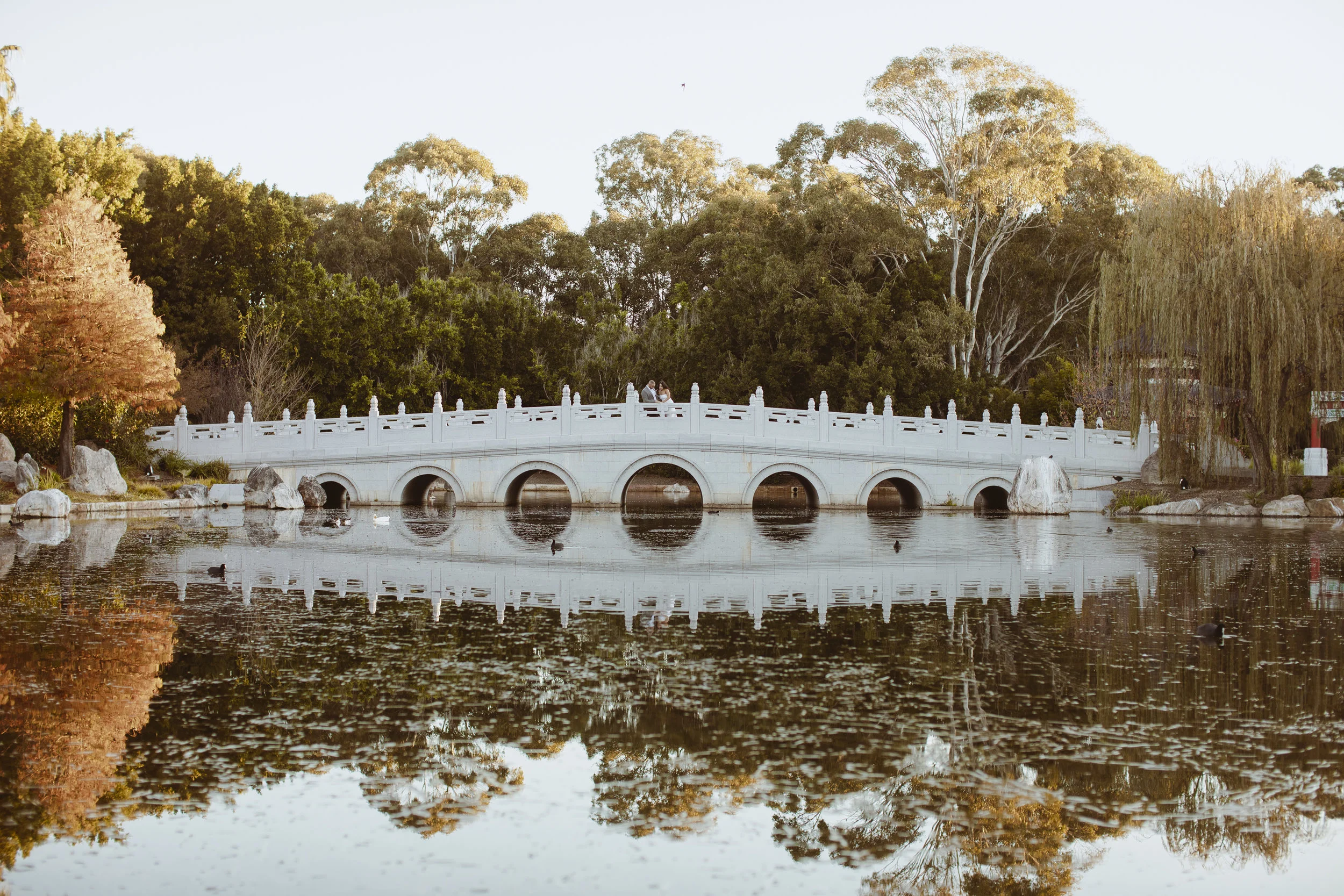SHANE + ALEXANDRA PREWED WEB (37 of 43).jpg