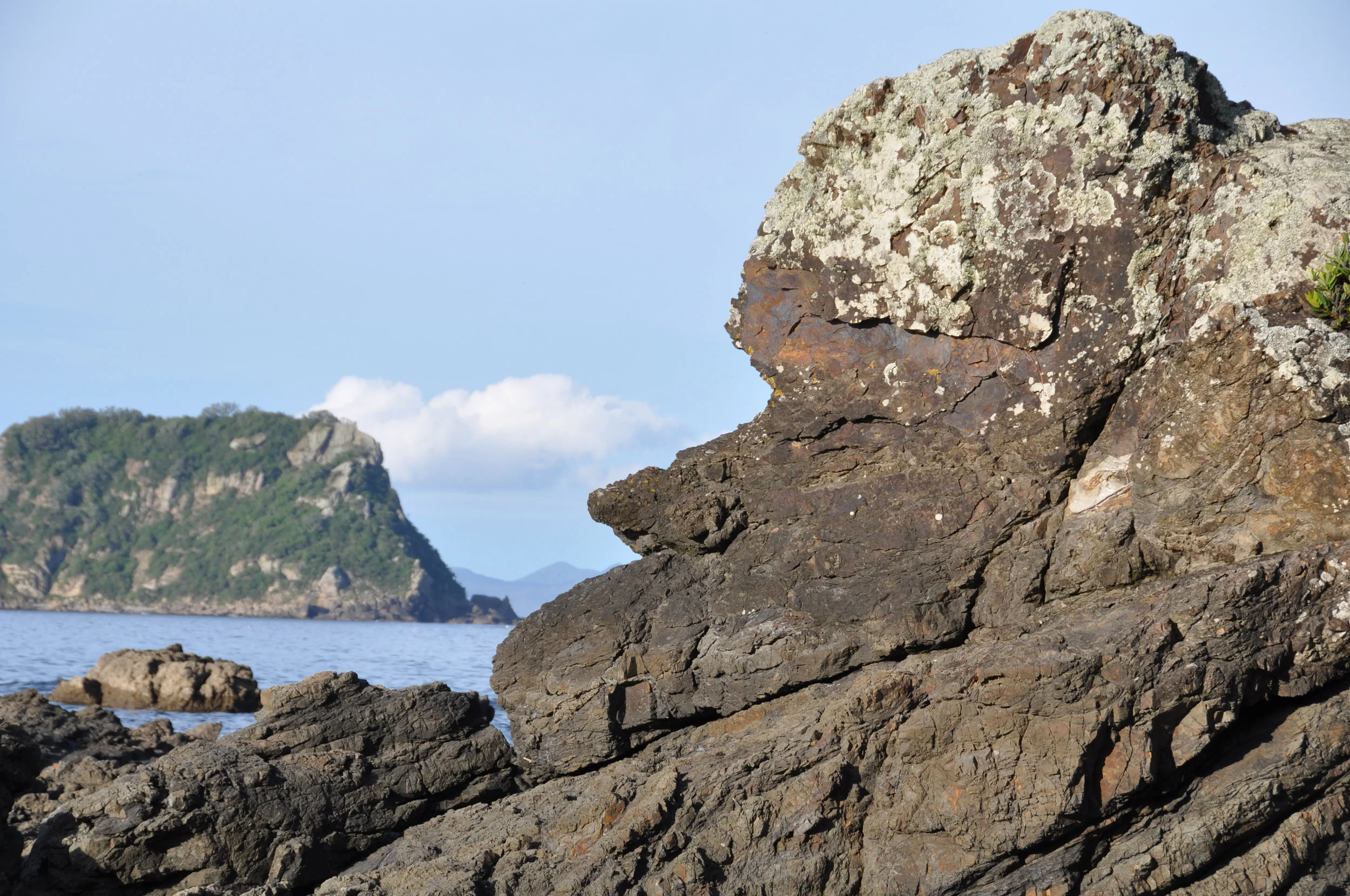 waiu Coromandel90 122.jpg