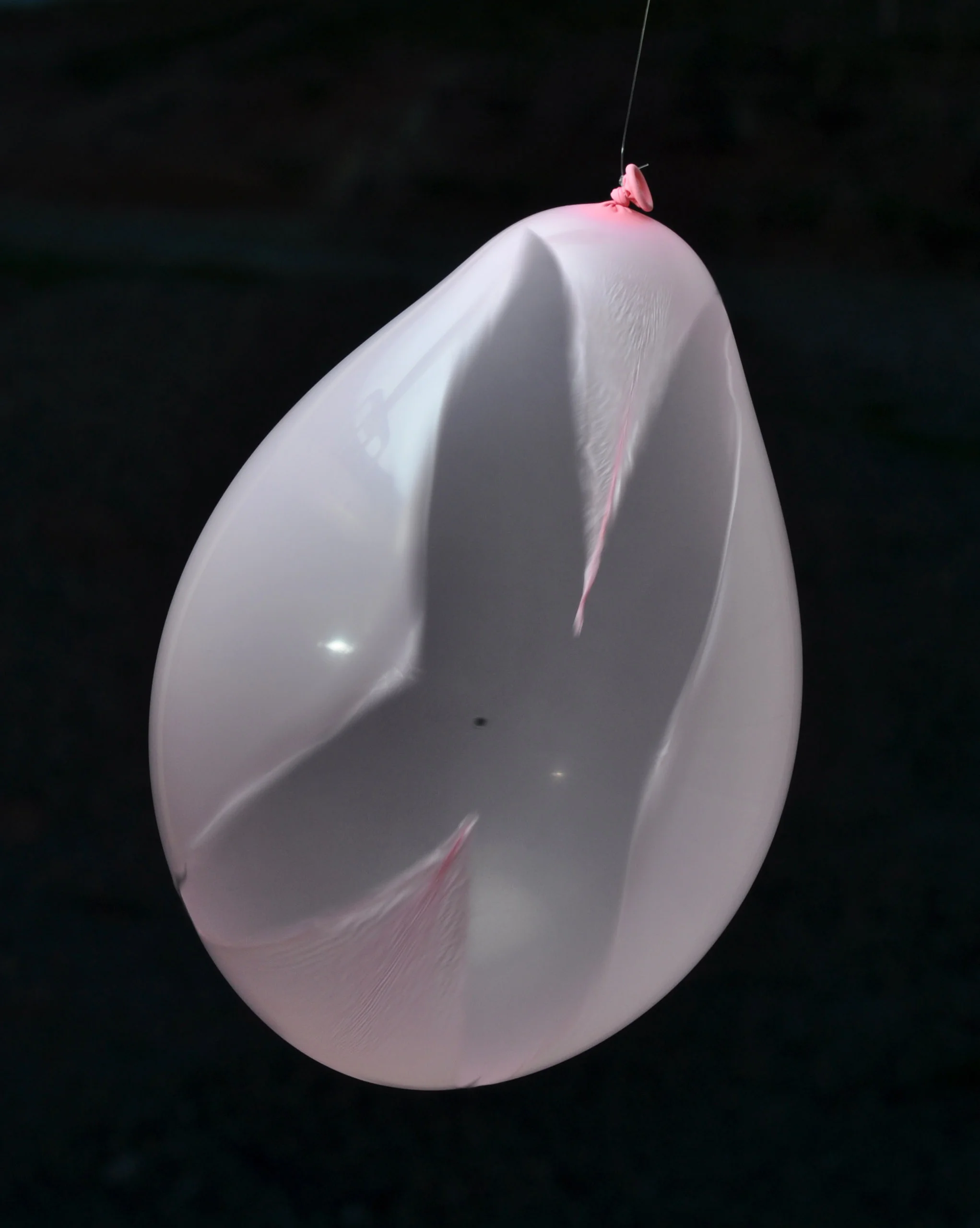 aapop1 005.jpg