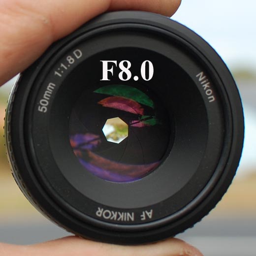F8.0.jpg