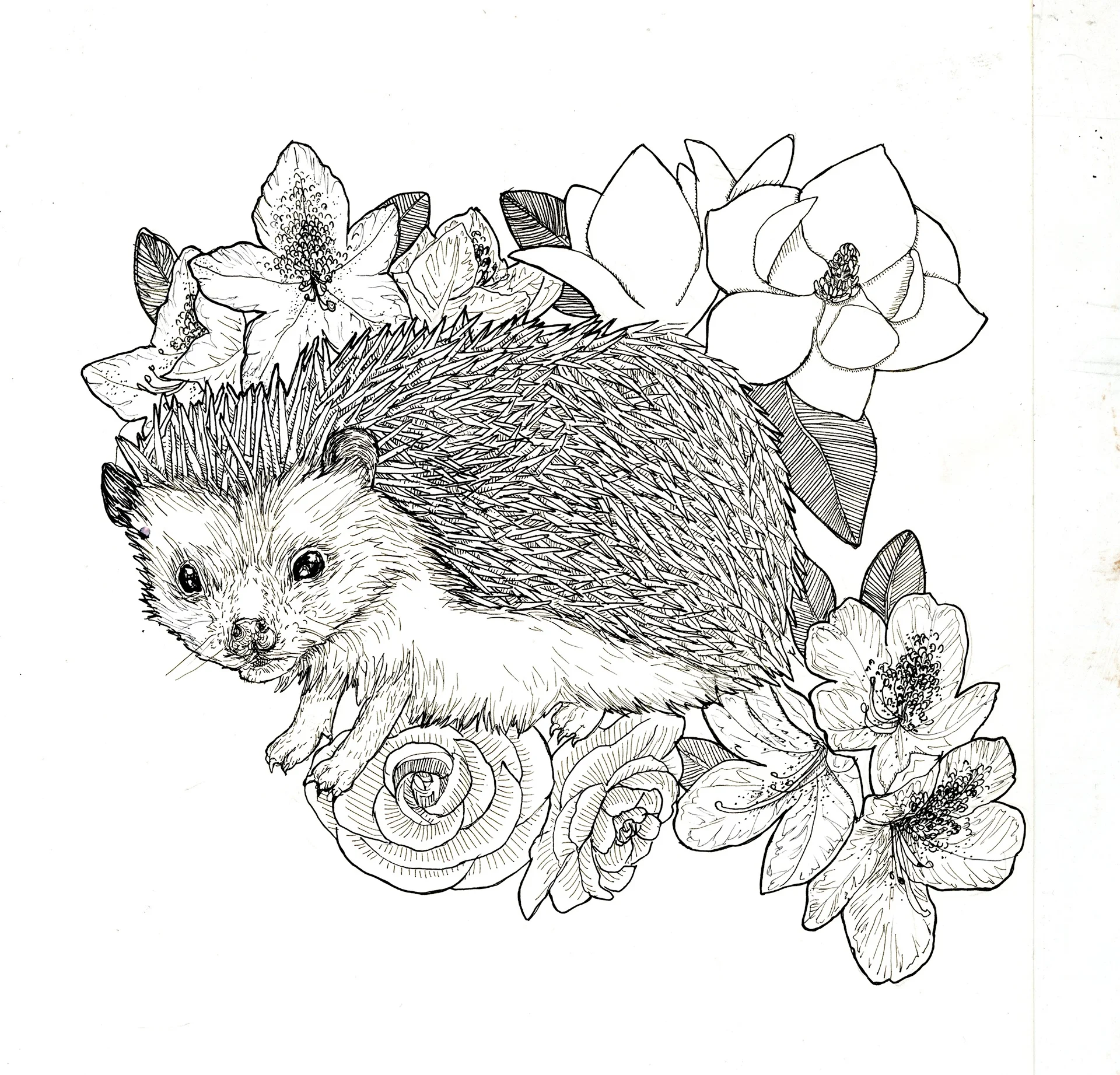Midge with favorite flowers - Ink & Paper